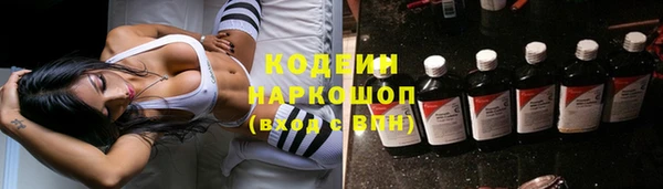 прущий лед Арсеньев
