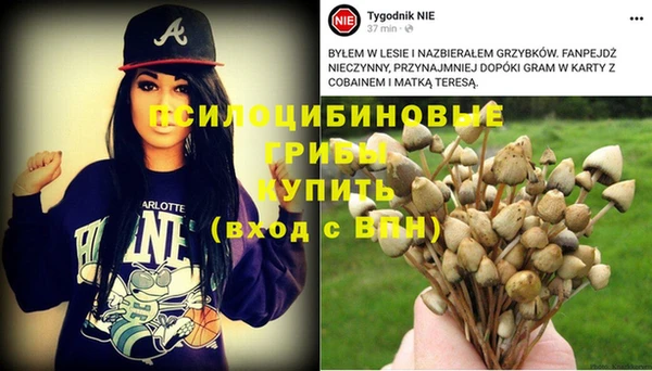 MESCALINE Армянск