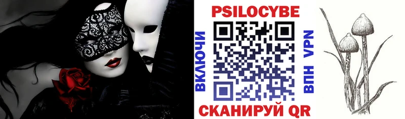 купить наркотик  KRAKEN ТОР  Псилоцибиновые грибы мицелий  Калининец 